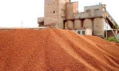 Керамзит и его основные разновидности